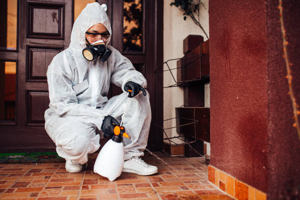 Reliable Ant Control contractor in Greenville, VA by Show Me Pest Control